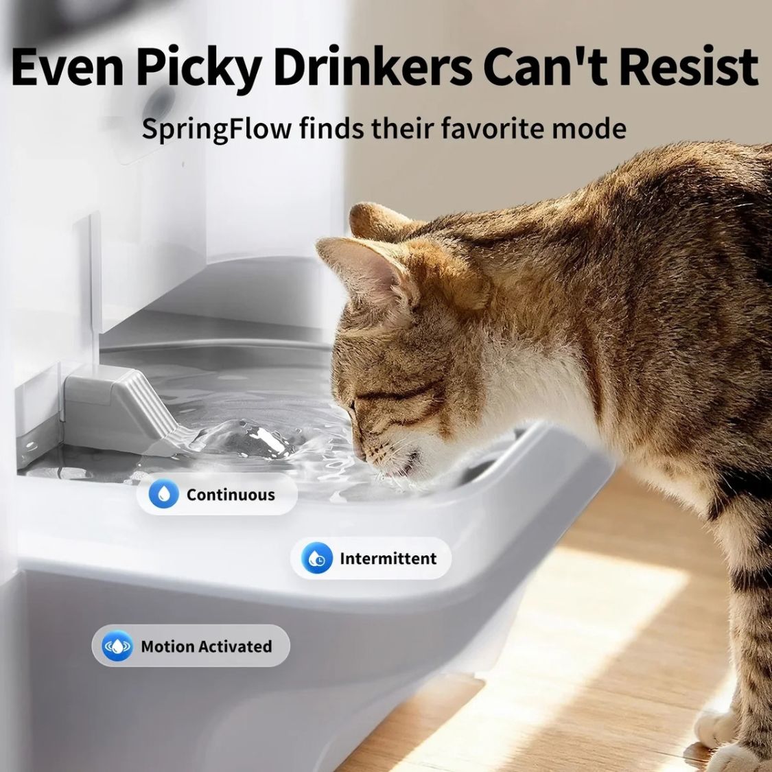 Pet Water Fountain | Pet Drinking Fountain with AI Camera for cats and small-breed dogs