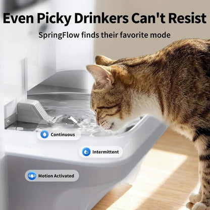 Pet Water Fountain | Pet Drinking Fountain with AI Camera for cats and small-breed dogs