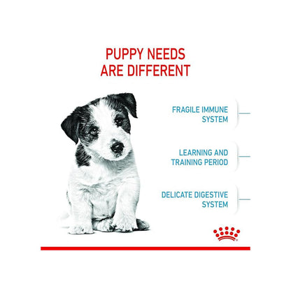 Royal Canin Mini Puppy Dry Dog Food | Immune & Digestive Support