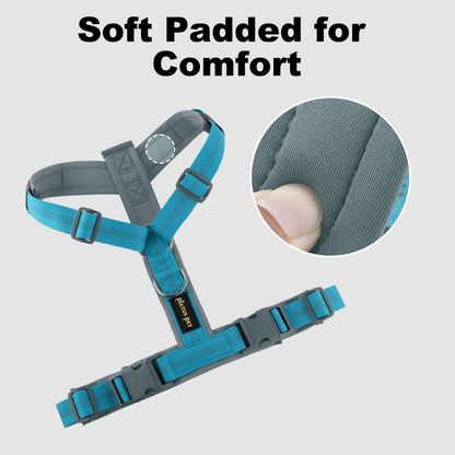 Hank Cyan Blue  Grey Quick-Fit Dog Harness.