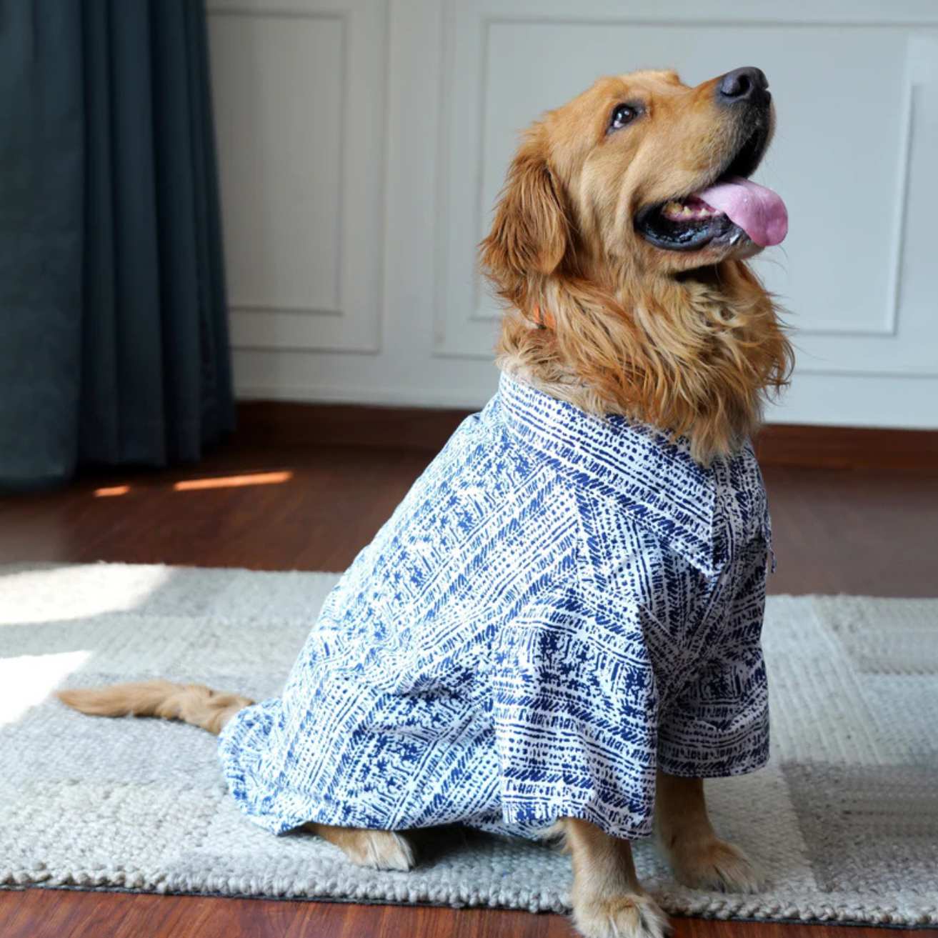Designer Blue Dog Shirt | Cotton Casual Pet Wear