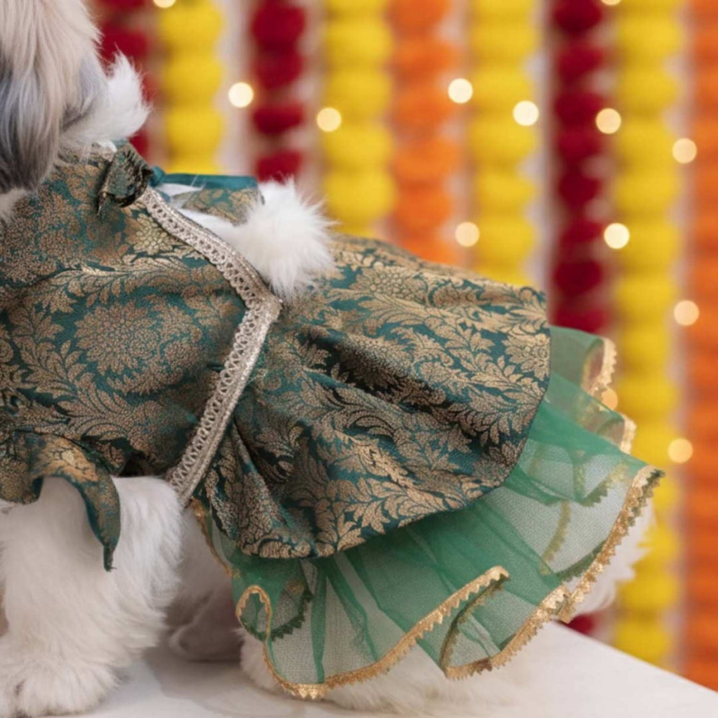 Moss Magic Lehenga