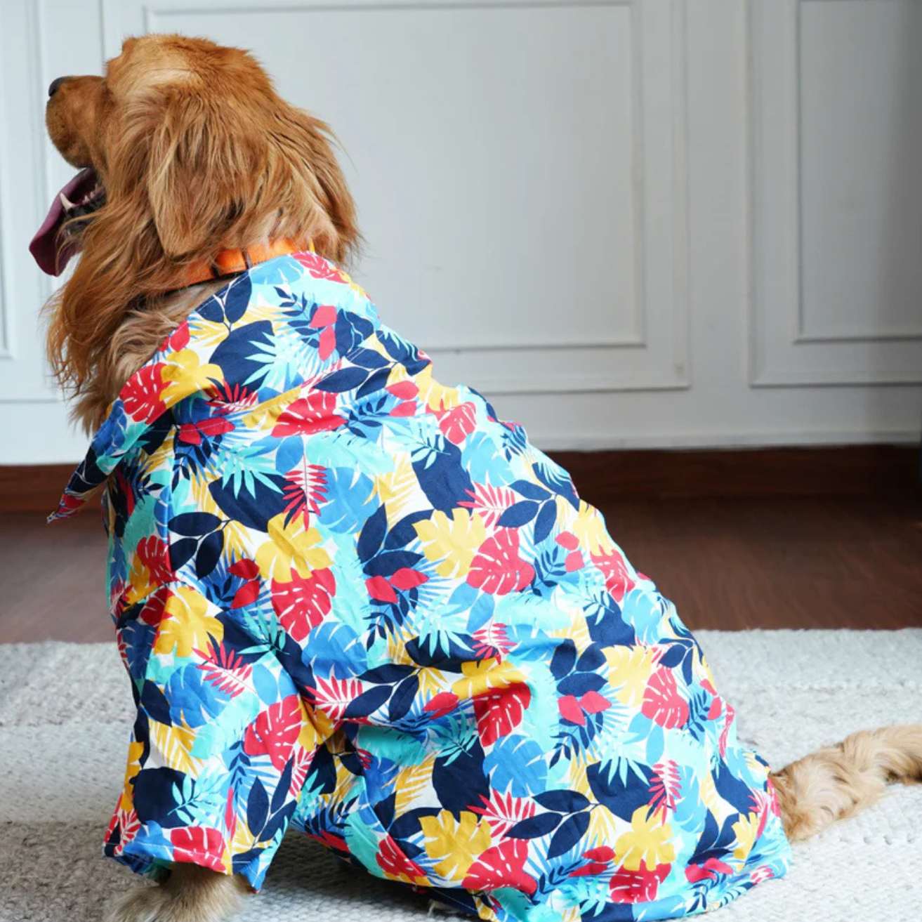Summer Dog Shirt | Lightweight Cotton Pet Clothes