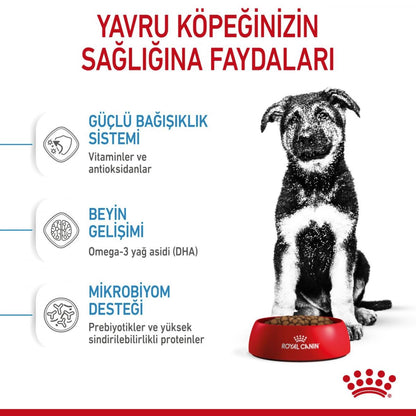 Royal Canin Maxi Puppy Dry Dog Food | Large Breed Growth & Digestive Care