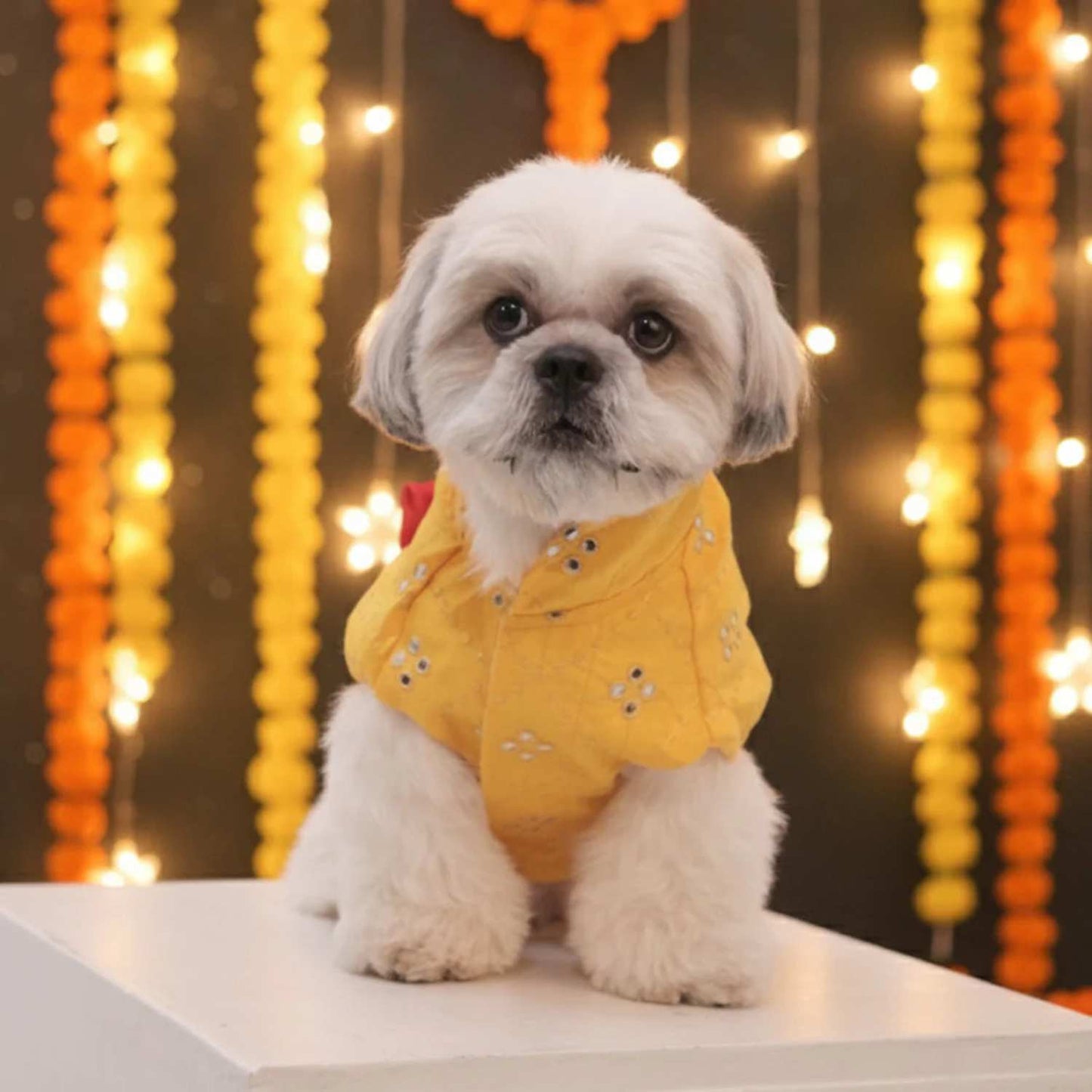 Sunshine Smiles Kurta for Dogs – Stylish Festive Wear for Pets