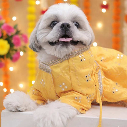 Sunshine Swirl Lehenga for Dog – Festive Pet Wear