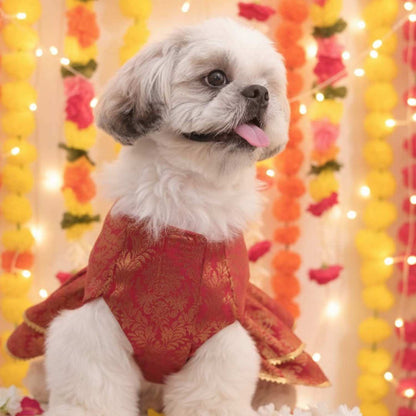 Maharani Pet Lehenga – Royal Designer Ethnic Wear for Dogs