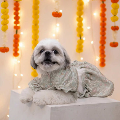 Mint Swirl Designer Lehenga for Dogs – Stylish Festive Outfit for Pets