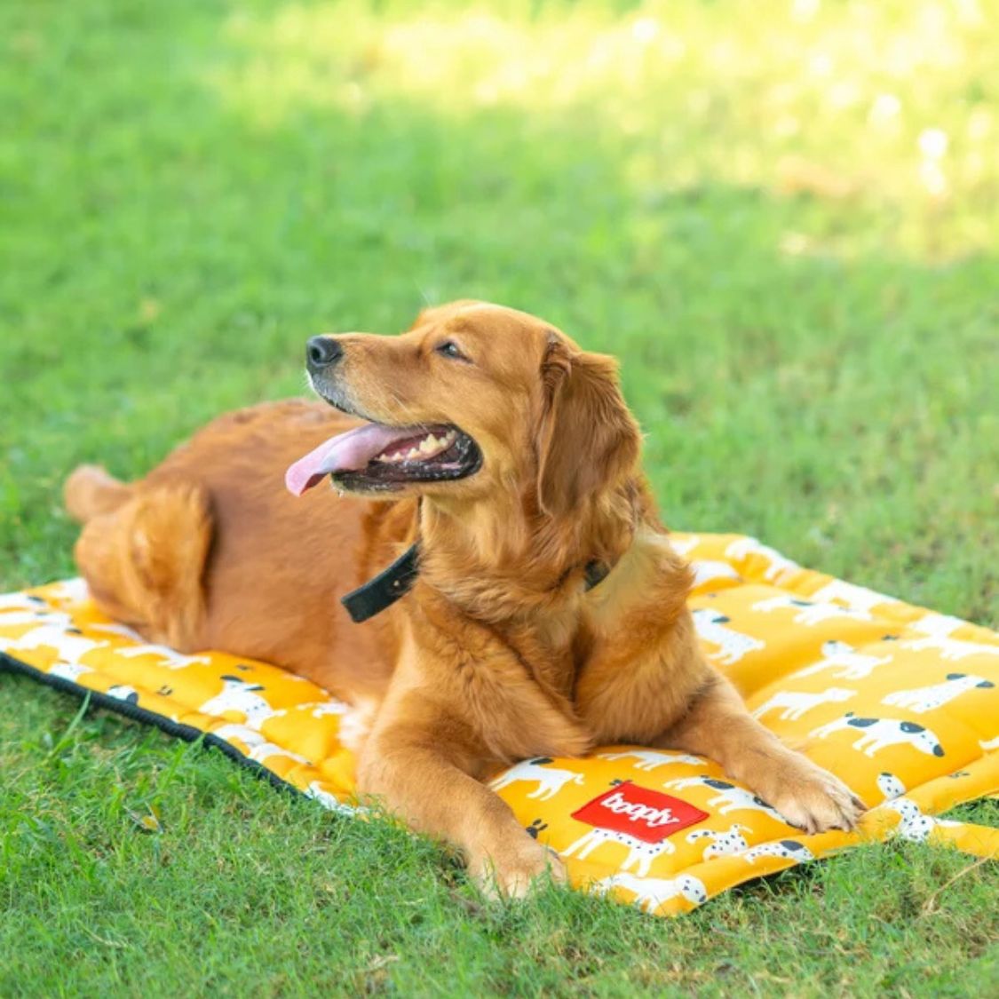 Pet Mat for Everyday Rest | Dog Mat for Naps - Sunshine Snooze