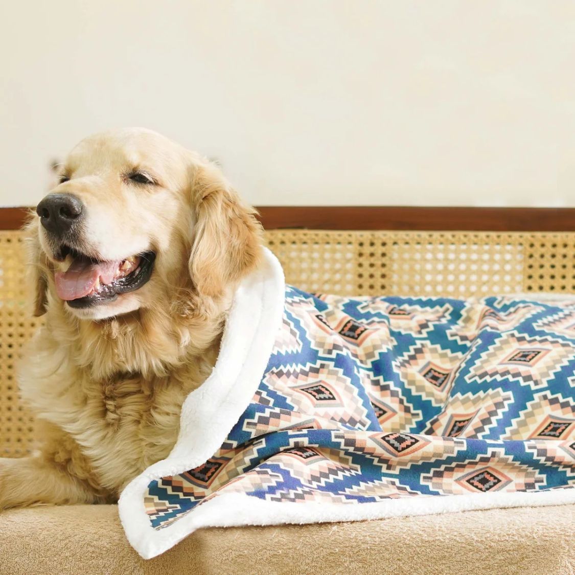 printed pet lounging blanket