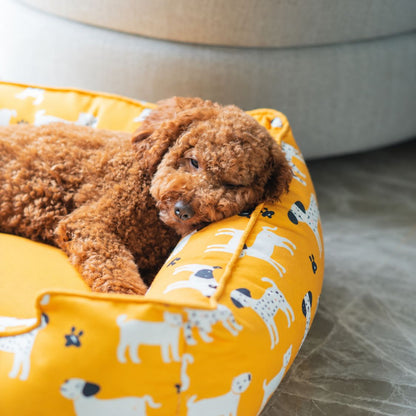 Dog Bed | Pet Bed Soft Cushioned for Cozy Rest -Sunshine Snooze