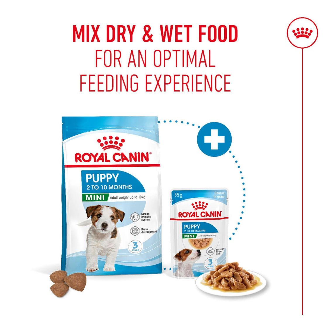 Puppy Food | Puppy Dry Food for Small Breed Puppies with Immune & Digestive Support