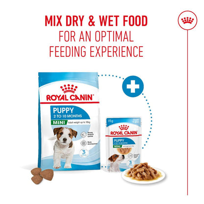 Puppy Food | Puppy Dry Food for Small Breed Puppies with Immune & Digestive Support