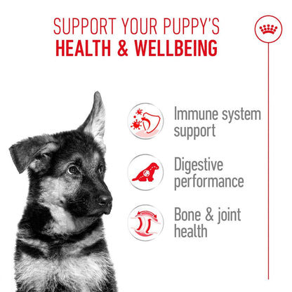 Puppy Food | Puppy Dry Food for German Shepherd with Digestive & Joint Support