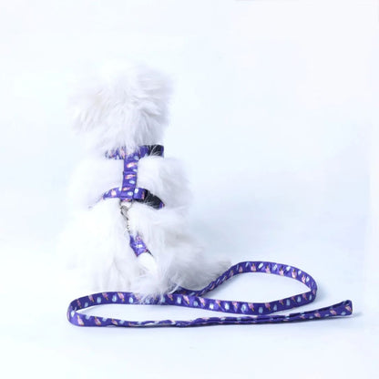Puppy Collar & Leash Set | Colorful Pet Harness for Daily Walks