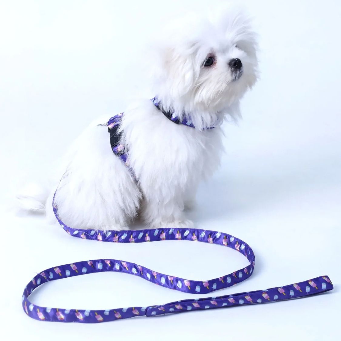 Puppy Collar & Leash Set | Colorful Pet Harness for Daily Walks