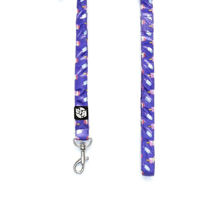 Puppy Collar & Leash Set | Colorful Pet Harness for Daily Walks