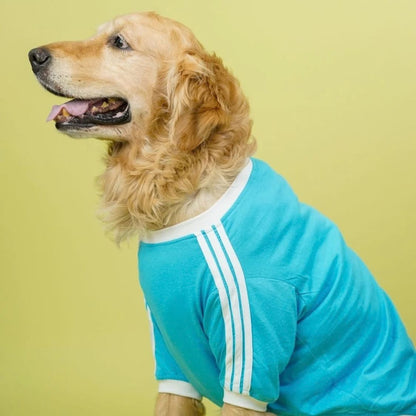 Dog T-Shirt | Dog Cotton T-Shirt for Everyday Comfort - Dive In Stripes
