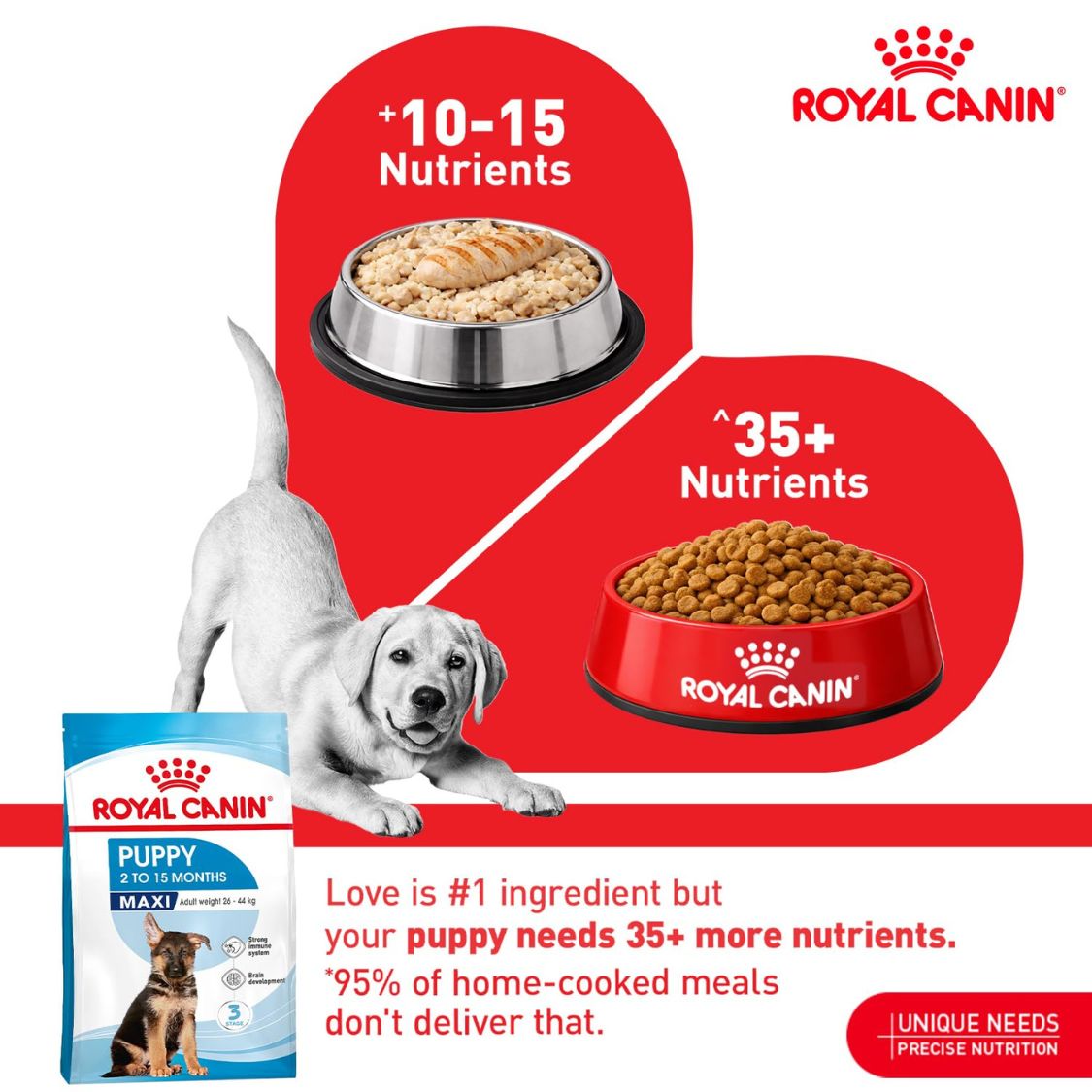 Puppy Food | Wholesome Large Breed Puppy Food for Growth