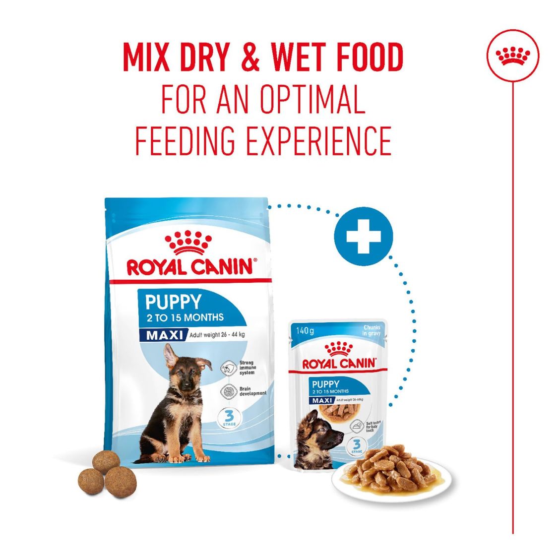 Puppy Food | Wholesome Large Breed Puppy Food for Growth