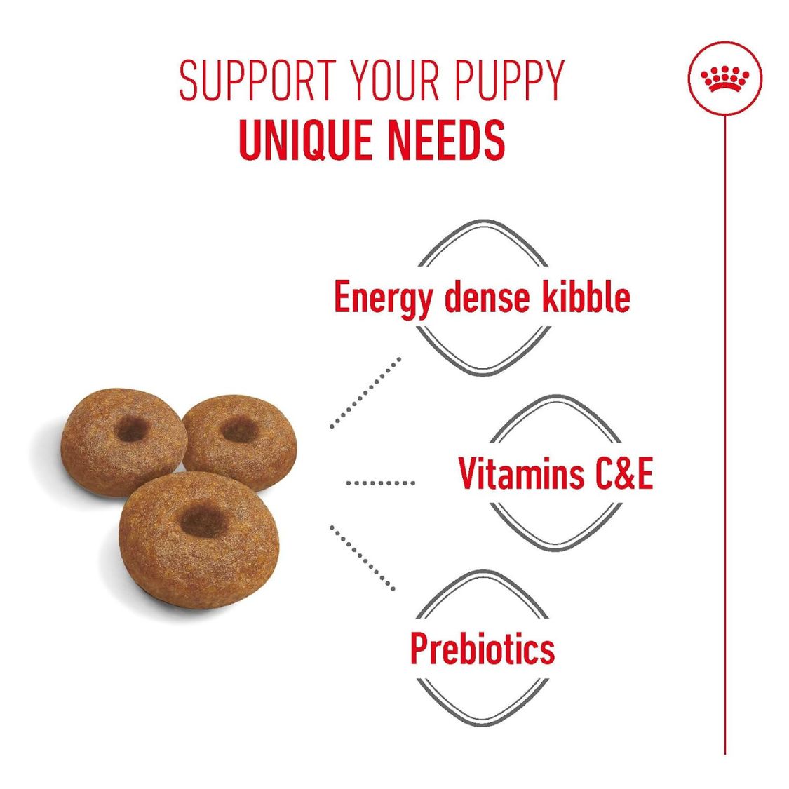 Puppy Food | Dog Food for Pregnant & Lactating Large Breed Dogs