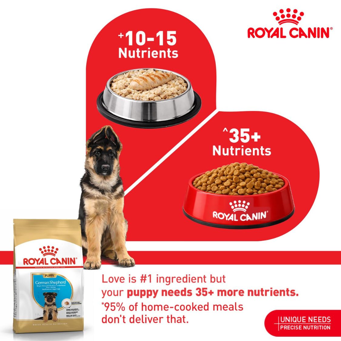Puppy Food | Puppy Dry Food for German Shepherd with Digestive & Joint Support