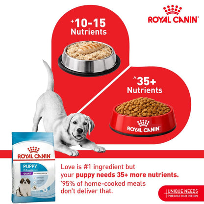 Puppy Food | Puppy Dry Food for Giant Breed Puppies with Immune & Growth Support