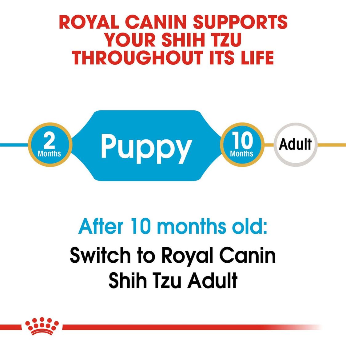 Puppy Food | Puppy Dry Food for Shih Tzu with Skin Coat & Digestive Support