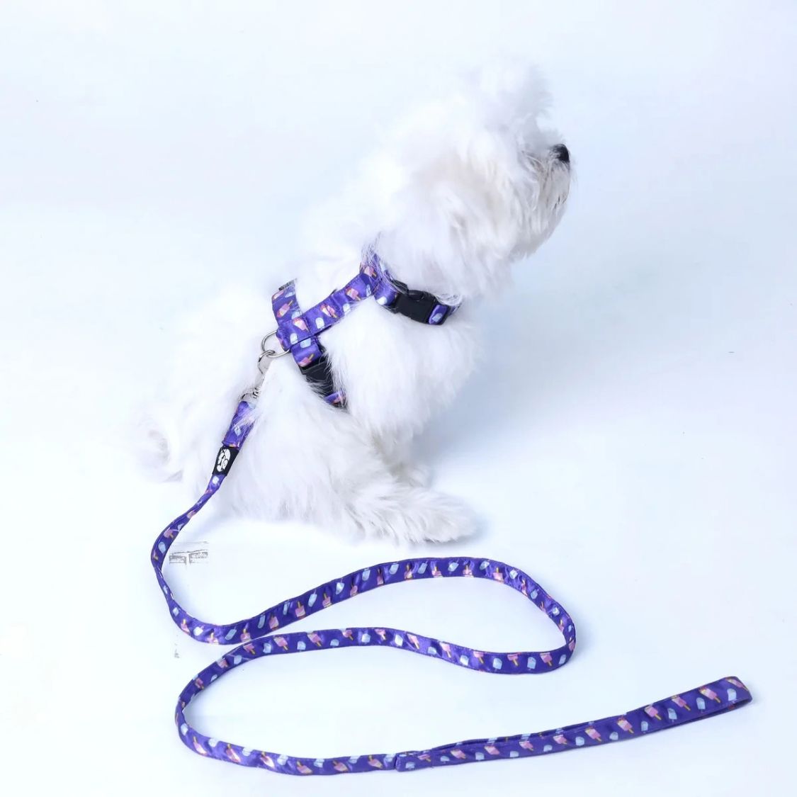 Puppy Collar & Leash Set | Colorful Pet Harness for Daily Walks
