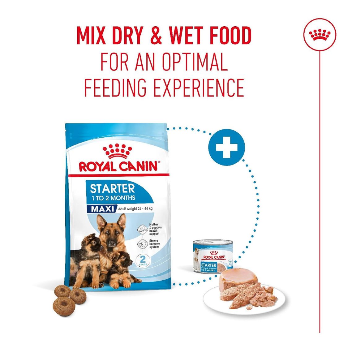 Puppy Food | Dog Food for Pregnant & Lactating Large Breed Dogs