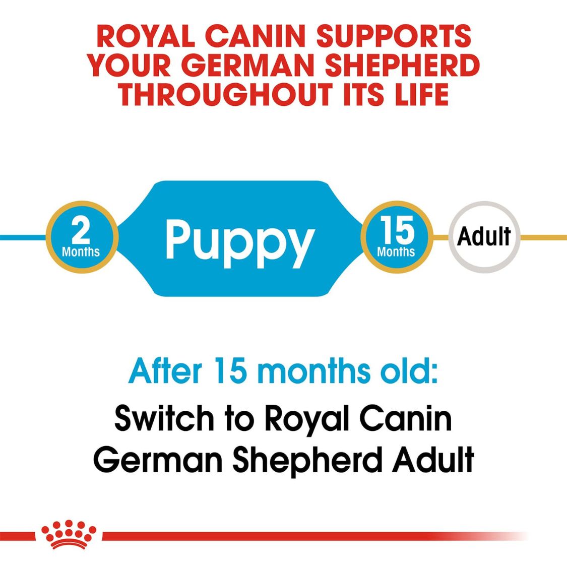 Puppy Food | Puppy Dry Food for German Shepherd with Digestive & Joint Support
