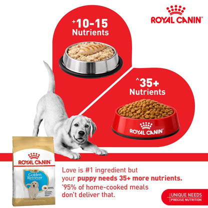 Puppy Food | Puppy Dry Food for Golden Retriever Puppies with Skin Coat & Digestive Support