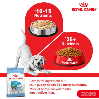 Puppy Food | Puppy Dry Food for Small Breed Puppies with Immune & Digestive Support