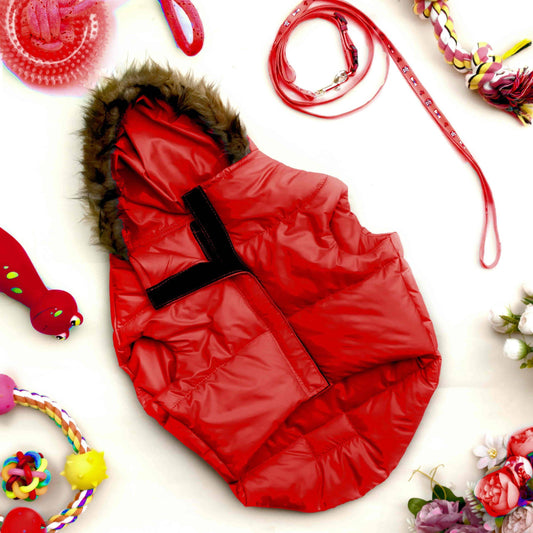 Hank Dog Winter Clothes