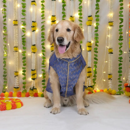 dog sherwani