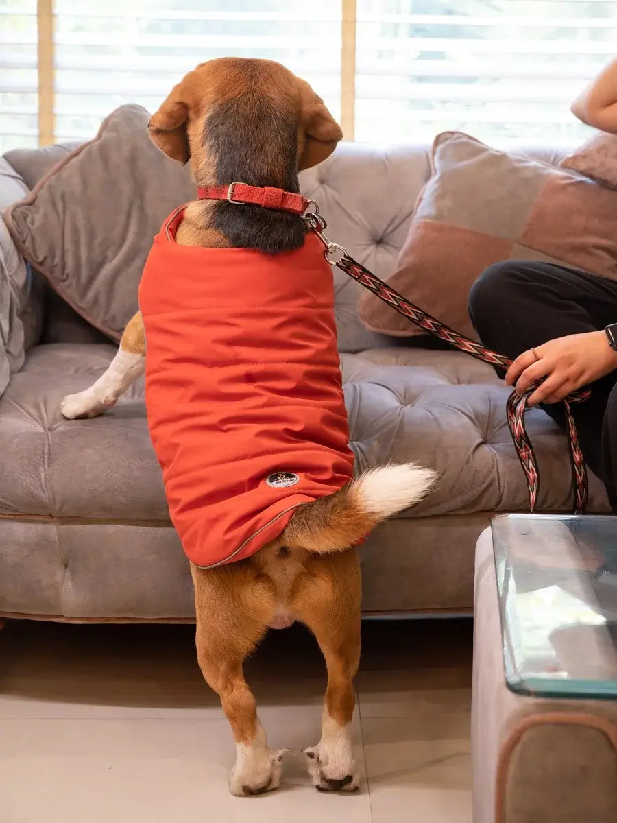 Rust Jacket For Dogs