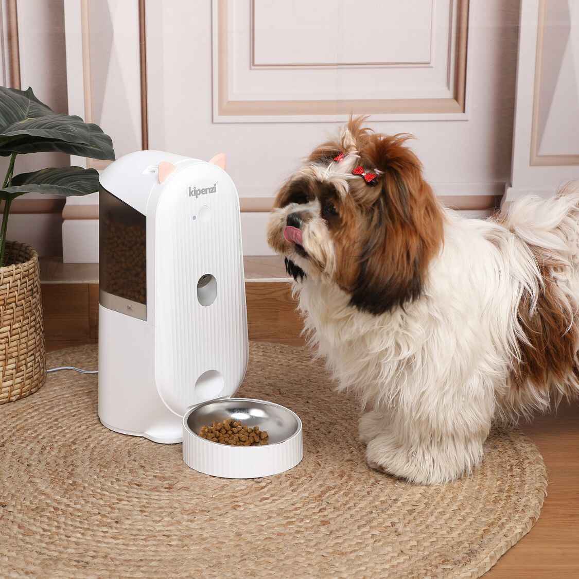 Smart Automatic Pet Feeder with Camera | App Control for Cats & Dogs