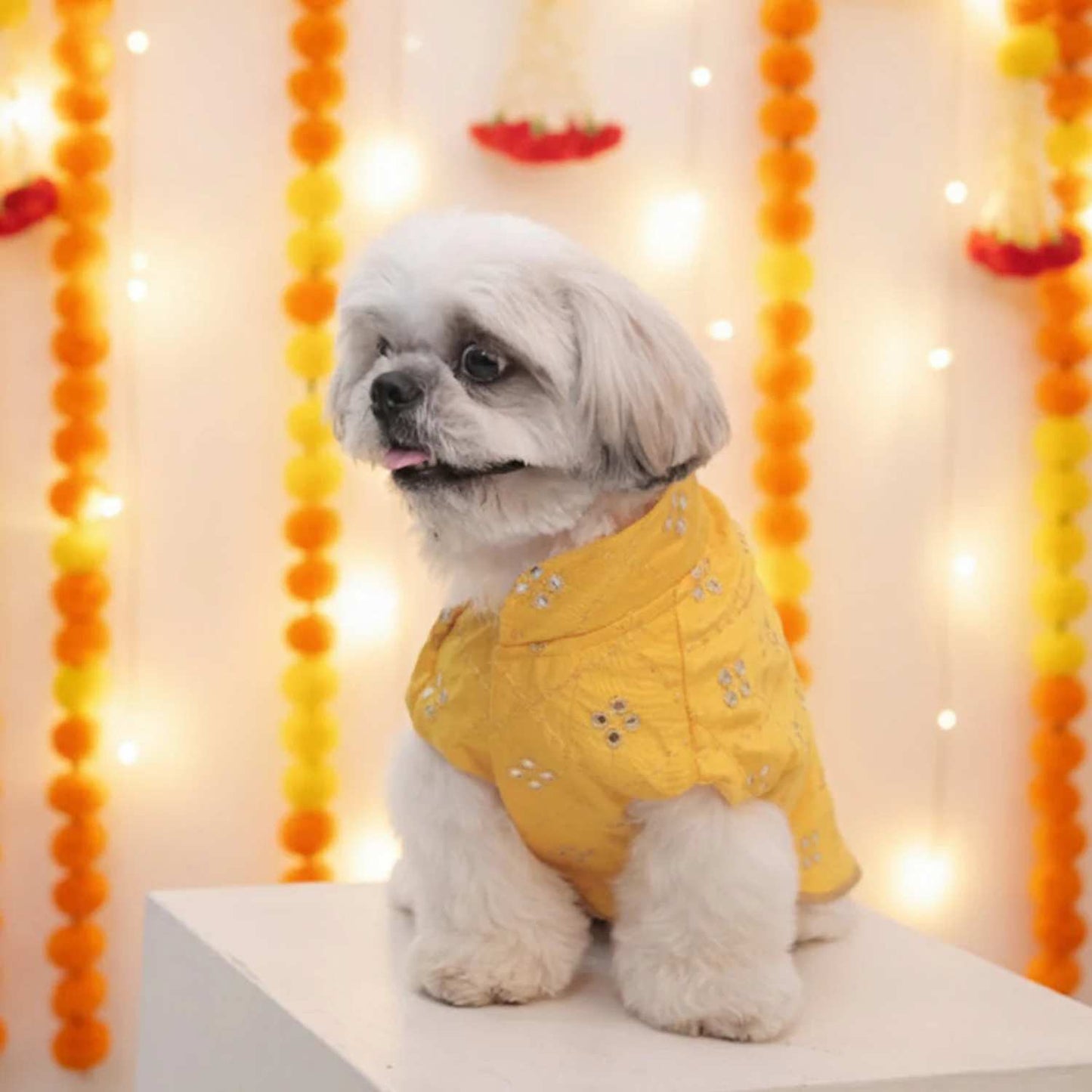 Sunshine Smiles Kurta for Dogs – Stylish Festive Wear for Pets