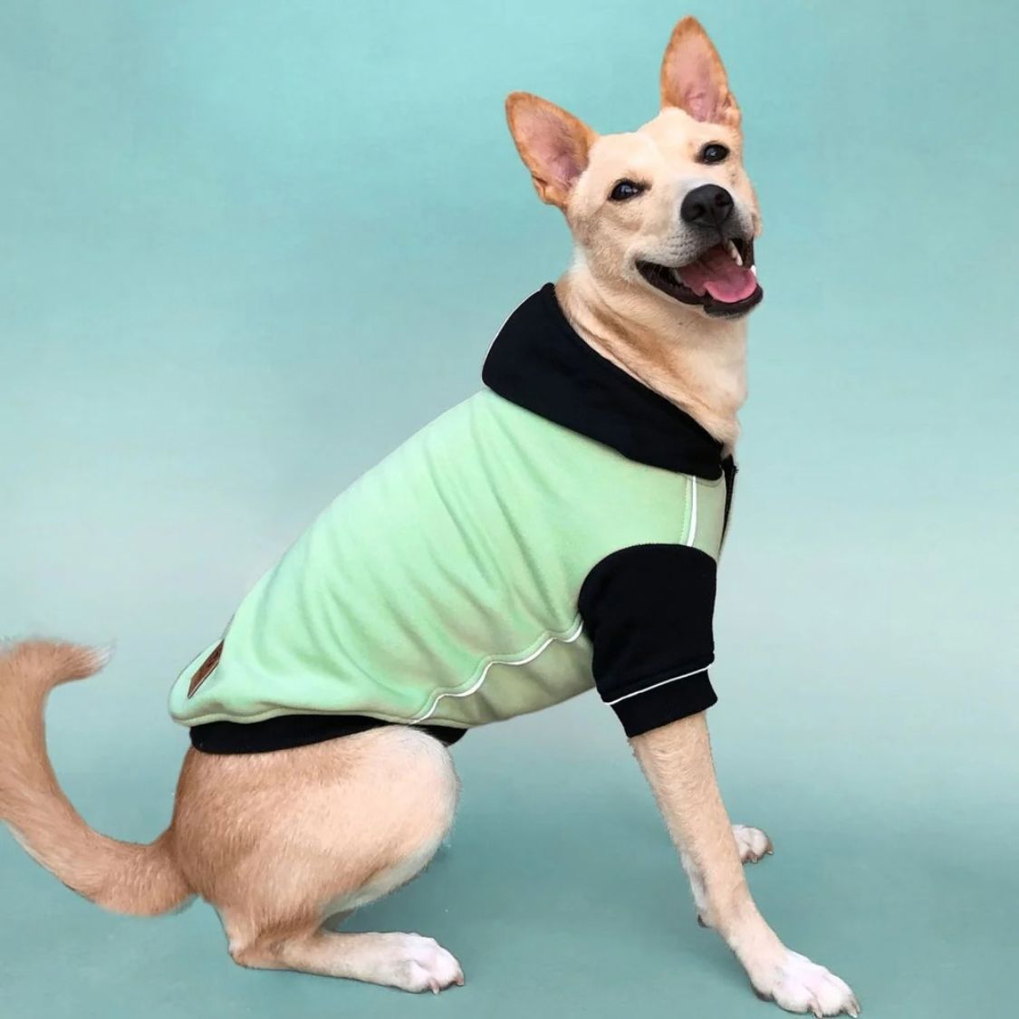 Dog Sweatshirt | Dog Winter Were with Hood and Fleece