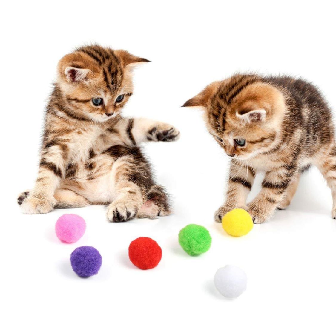 Cat Play Balls | Soft Interactive Toys for Indoor Cats & Kittens