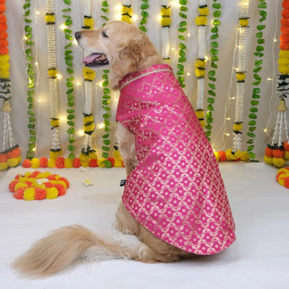 soft dog kurta
