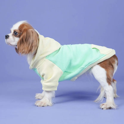 Dog Sweatshirt | Dog Stylish Wear for Winter and Cold Weather