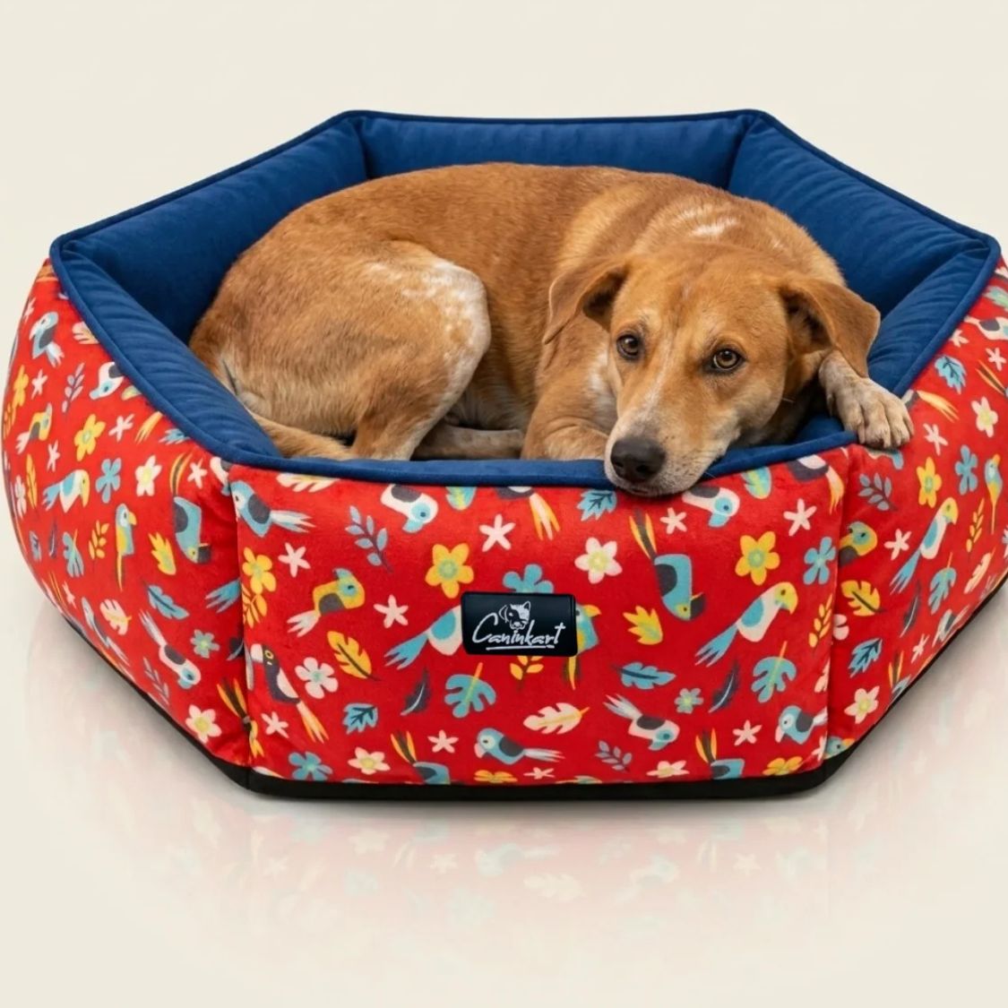 Washable Dog Bed with Raised Sides | Soft Cushioned Pet Bed for Dogs