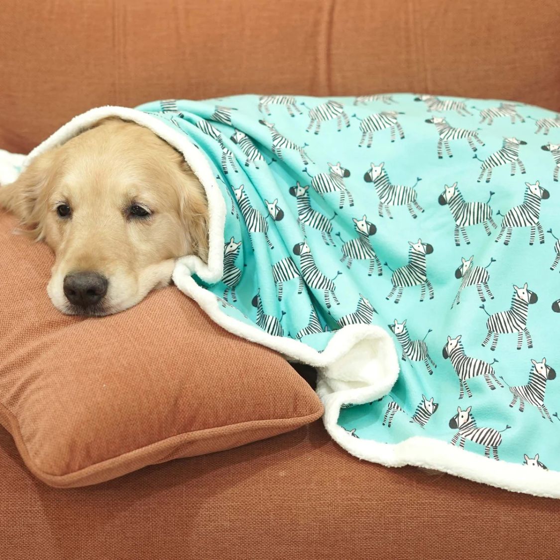 soft pet throw for cats dogs