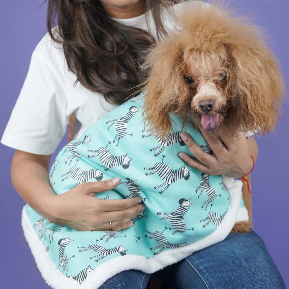 soft sherpa dog blanket