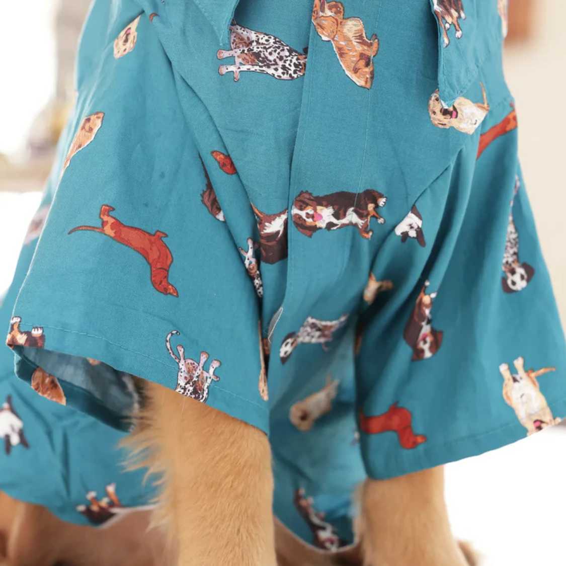 Printed Dog Shirt | Playful Paws Casual Summer Pet Wear