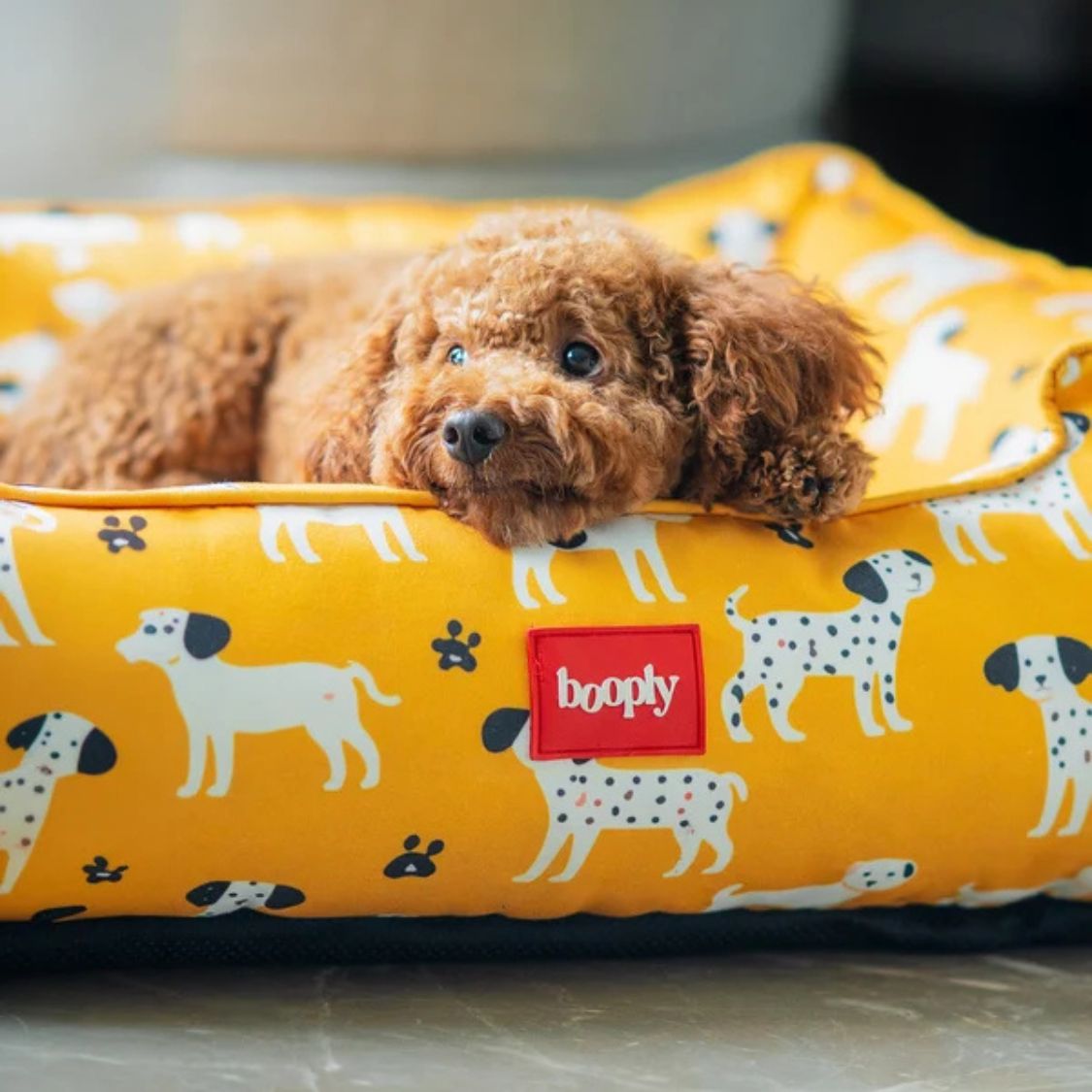 Dog Bed | Pet Bed Soft Cushioned for Cozy Rest -Sunshine Snooze
