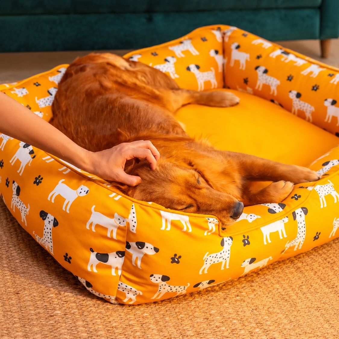 Dog Bed | Pet Bed Soft Cushioned for Cozy Rest -Sunshine Snooze