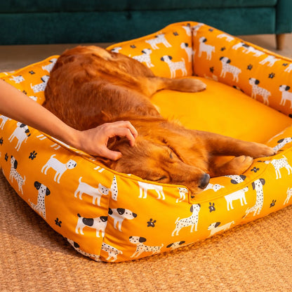 Dog Bed | Pet Bed Soft Cushioned for Cozy Rest -Sunshine Snooze