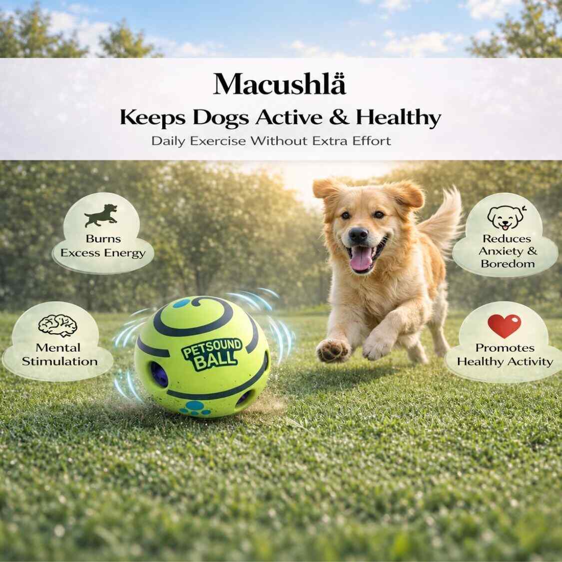 Durable Dog Ball Toy | Squeaky Chew Ball for Puppies & Adult Dogs